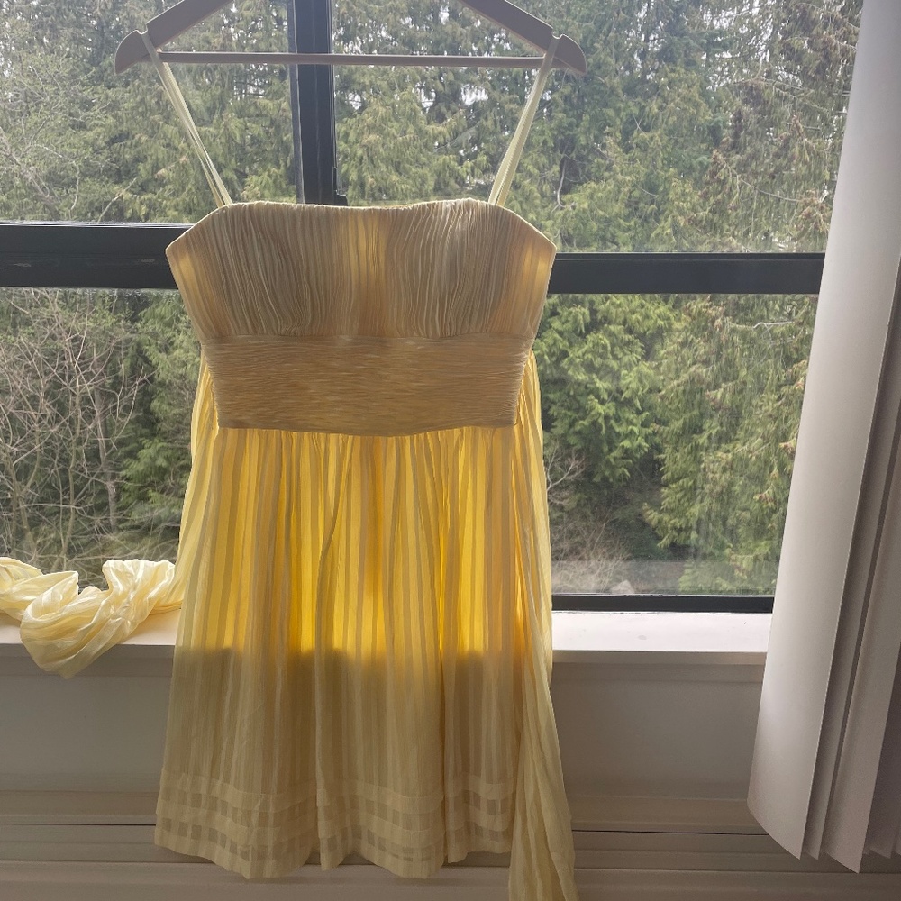 Silk BCBG Party Dress